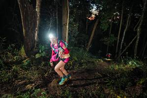 BIB: 
                            <button type="button" onclick="openModal(22424646)" class="btn btn-primary btn-sm float-right btn-popup" data-toggle="modal" data-target=".modal-high-quality">
                        <i class="fas fa-shopping-cart"></i> Add to Cart
                    </button>
                                            <button type="button" onclick="isThisMe(22424646, true)" class="btn btn-success btn-sm float-right btn-popup btn-isme hidden" data-toggle="tooltip" data-placement="bottom" title="นี่คือรูปของคุณใช่ไหม คลิกที่นี่เพื่อเอาเข้าอัลบั้ม">
                        <i class="fas fa-plus"></i> Add to album
                    </button>
                    <button type="button" onclick="isThisMe(22424646, false)" class="btn btn-warning btn-sm float-right btn-popup btn-isnotme hidden">
                        <i class="fas fa-ban"></i> Remove from album
                    </button>